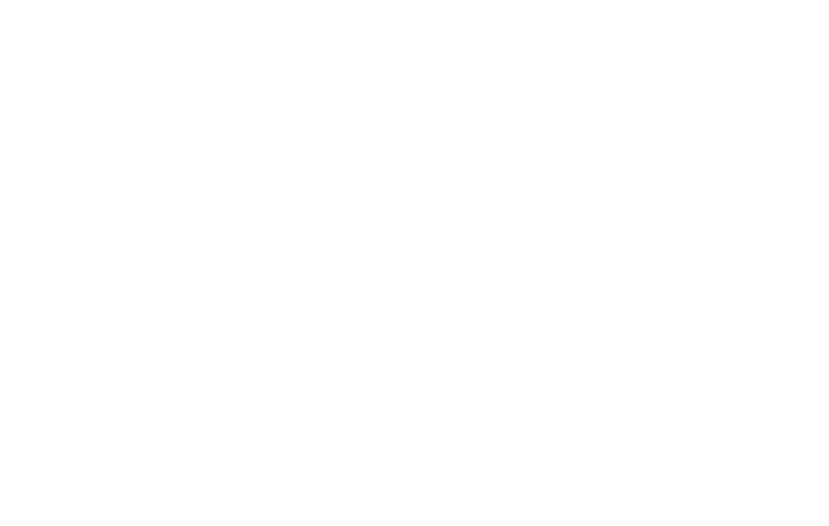 bimpulse logo